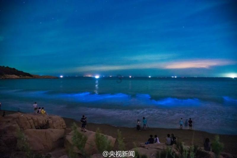 大行评级｜大摩：下调京东目标价至27美元 预计第四季业绩符合预期