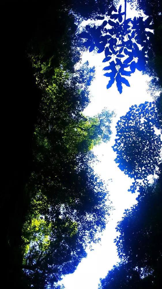 决战平安京